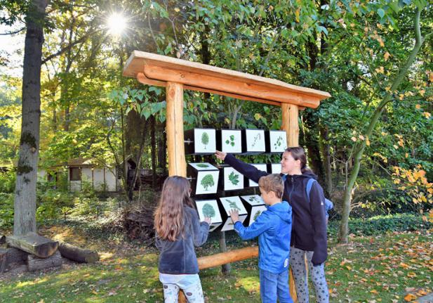 Ein Baumwürfelspiel für den Zoo – Neue Spielstation im Zoo Rostock eingeweiht 