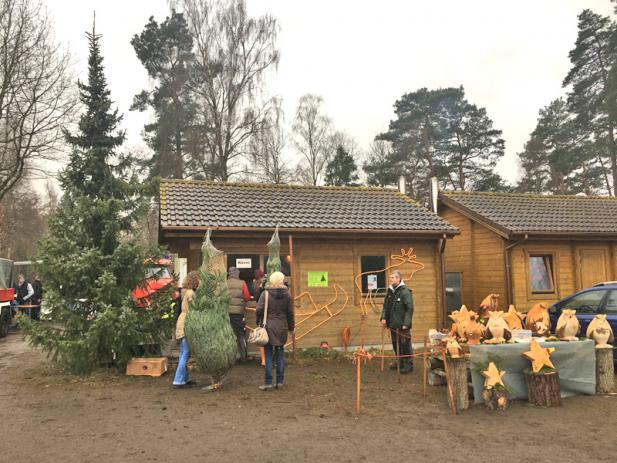 Weihnachtsbaumverkauf in der Rostocker Heide startet am 6. Dezember 