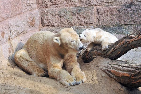 Tierisch was los im Zoo Rostock! Mai 2015