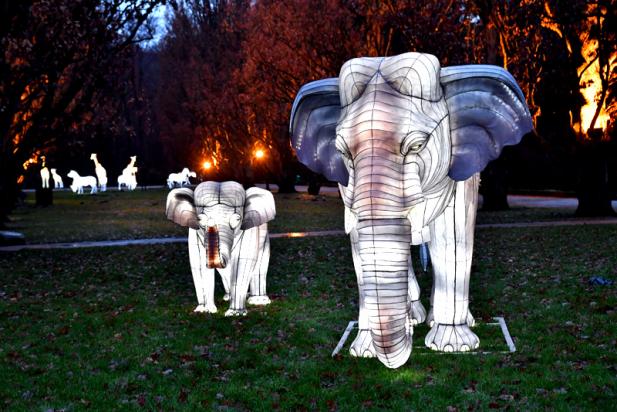 Elefanten im Zoo Rostock?