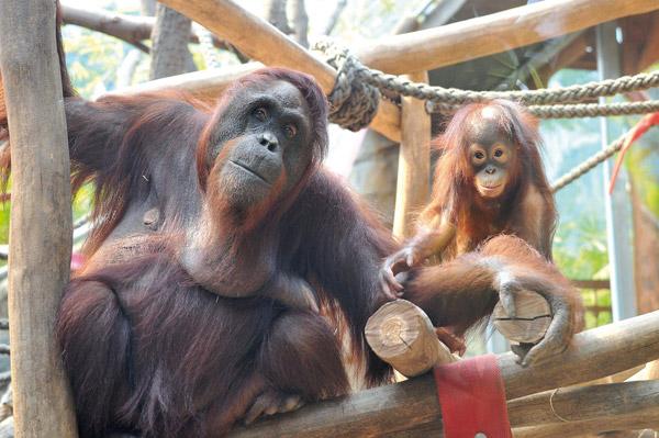 Tierisch was los im Zoo Rostock! Juni 2015