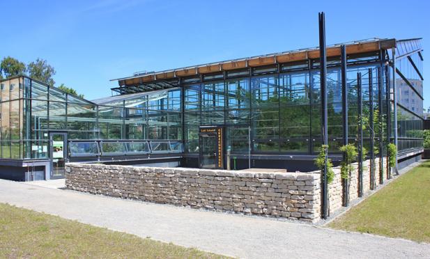 Botanischer Garten der Universität Rostock: Loki-Schmidt-Gewächshäuser ab Dienstag wieder geöffnet