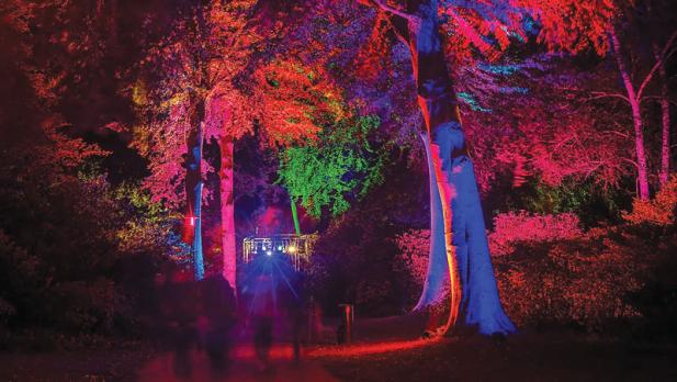 Nachts im Park – ein entspanntes Lichtkunst-Event