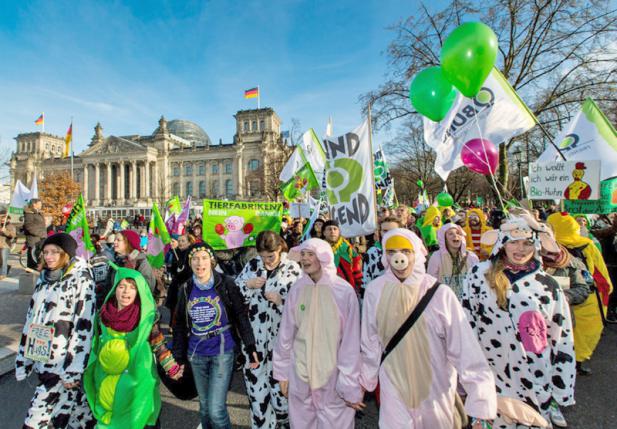 Wir haben es satt! Demo für eine bessere Landwirtschaft am 19. Januar 2019.