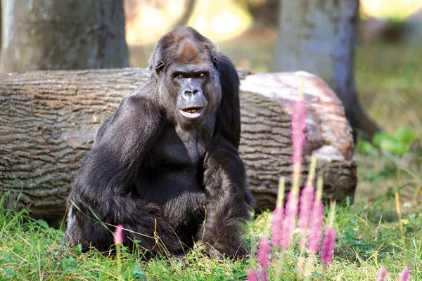 Tierisch was los im Zoo Rostock! März 2016