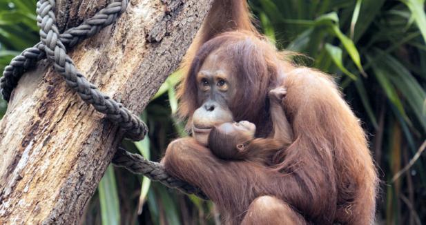 Tierisch was los im Zoo Rostock!