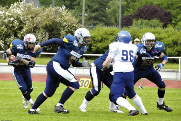 Kein Winterschlaf bei den Griffins