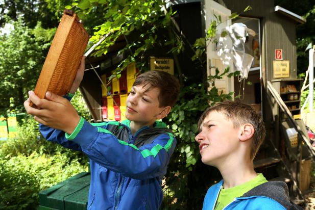 Seit 50 Jahren: Wo Schule am lebendigsten ist