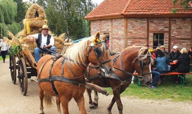 Festumzug & Bauernmarkt