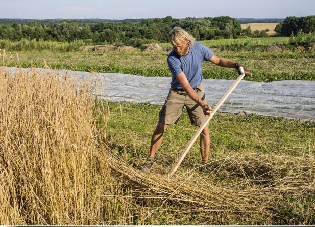 Hoffest bei der solidarischen Landwirtschaft zur 11. BIO-Landpartie