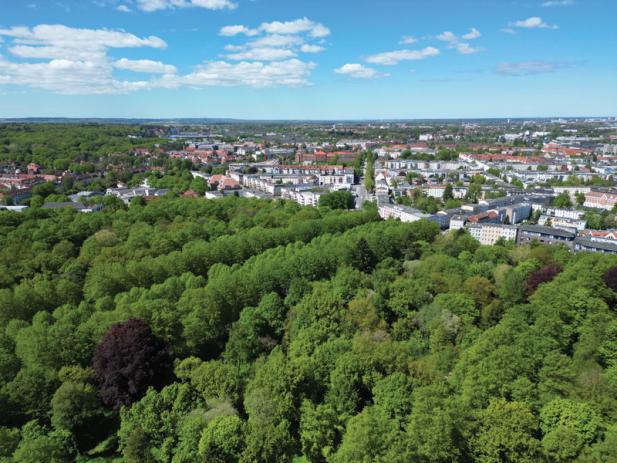 8. Picknick im Stadtgrün