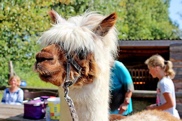 BUNTES KINDERSOMMERPROGRAMM IN DEN ROSTOCKER SEEBÄDERN!