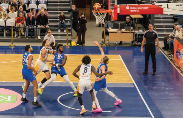 Seawolves international weiter