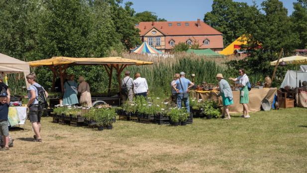 Stadtfest in bad Doberan