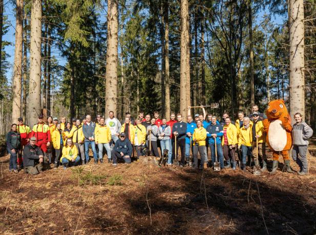 Rostock News: 2.000 Bäume für den Wald der Zukunft: Gemeinsame Pflanzaktion von LOTTO Mecklenburg-Vorpommern und der Landesforstanstalt MV