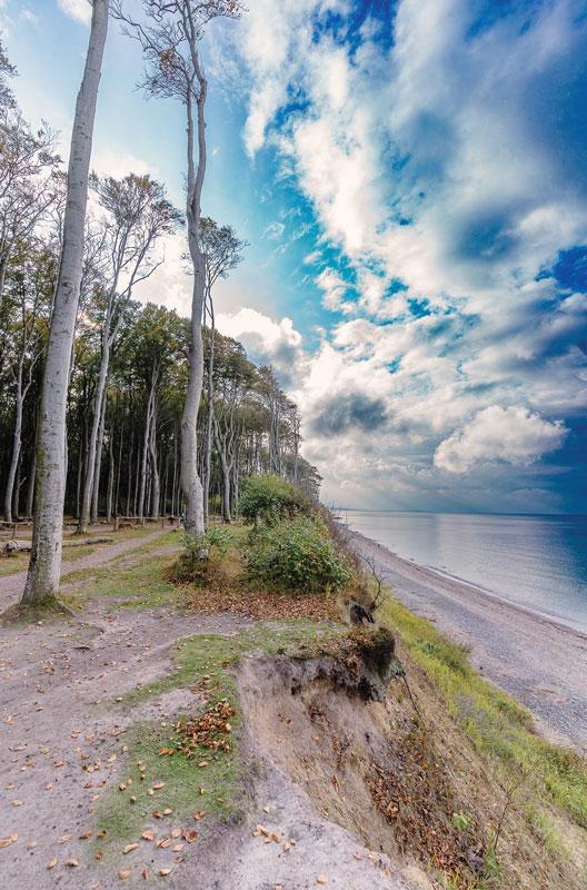 Frühlingserwachen an der Ostsee