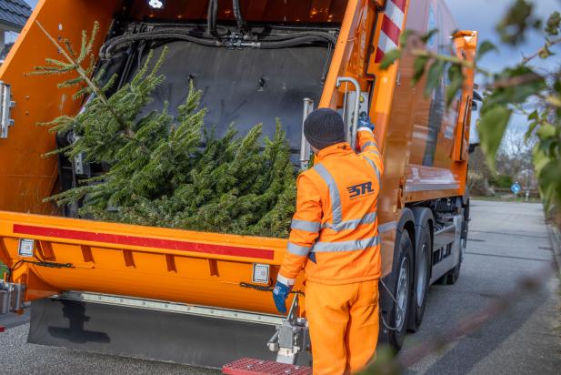 Weihnachtsbaumabfuhr beginnt am 5. Januar 2026