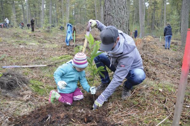 Bürger für Bäume in der Rostocker Heide