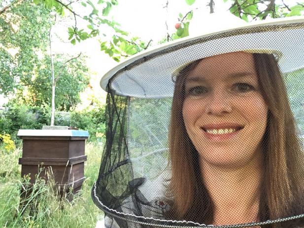 Bienen – wie sie leben, was sie leisten und wie wir ihnen helfen können