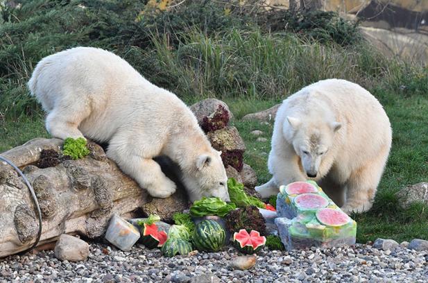 Happy Birthday Kaja und Skadi!