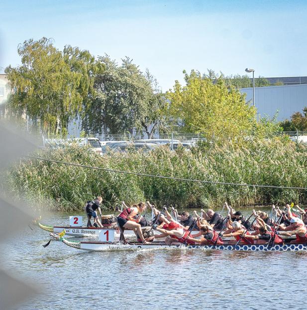 Herbstrennen der Drachenboote