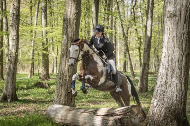 Hinter schnellen Hunden: Erste Schleppjagd in Graal-Müritz