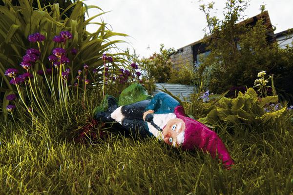 Junges Gemüse – Die Gartenbrigade legt los 