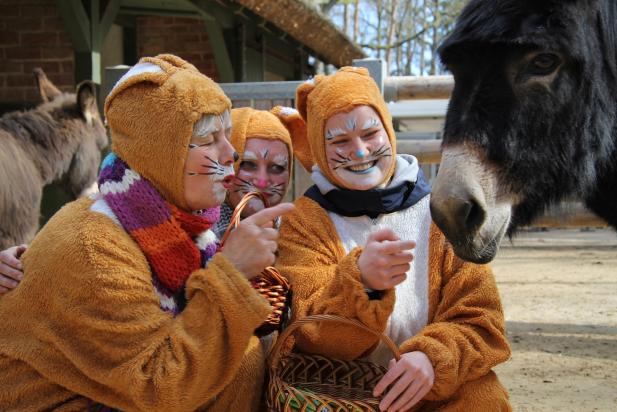 Hoppelnde Osterhasen und tierischer Spaß