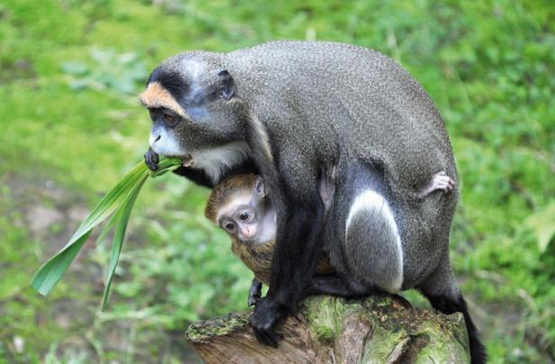 Tierisch was los im Zoo Rostock! Dezember 2015