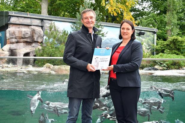 Gemeinsam handeln zum Schutz von Humboldtpinguinen – Zoo Rostock unterstützt Artenschutzorganisation Sphenisco