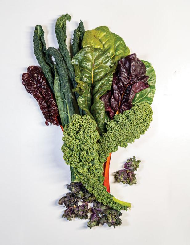 Knuspern statt Kohlenhydrate – Hochsaison für Grünkohlchips 