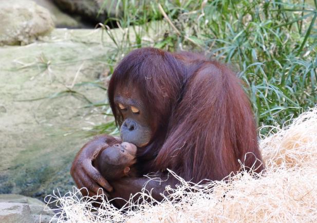 Tierisch was los im Zoo Rostock! März 2018