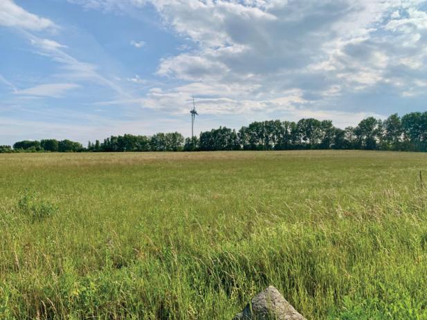 Landschaftsschutzgebiet „Diedrichshäger Land“ – GRÜNE gegen Bebauung