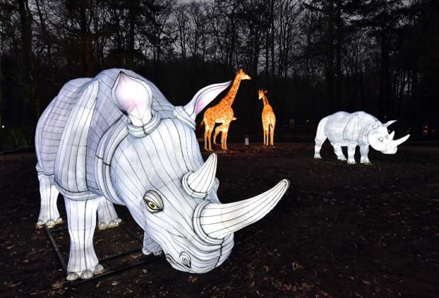 Tierische Verstärkung für die Rostocker Zoolights 