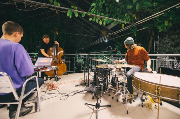 Menschen und Insekten musizieren erstmals gemeinsam im Botanischen Garten Rostock