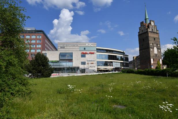 Neuigkeiten aus dem KTC Rostock