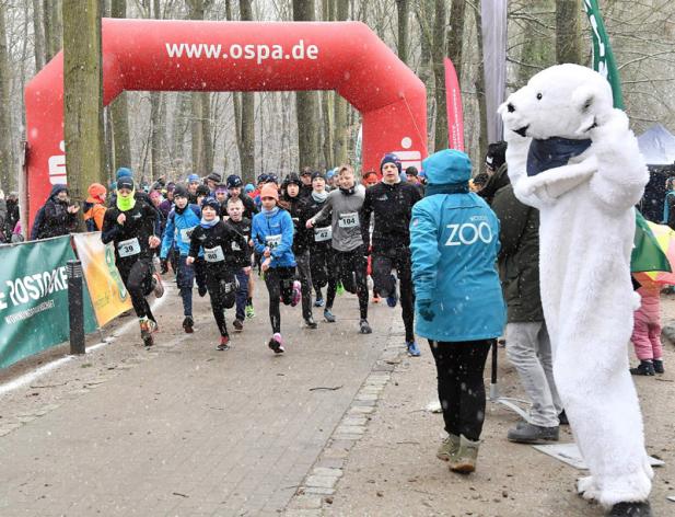 Einnahmen des 8. Rostocker Winterlaufes gehen an die Erdbebenhilfe für Syrien und die Türkei