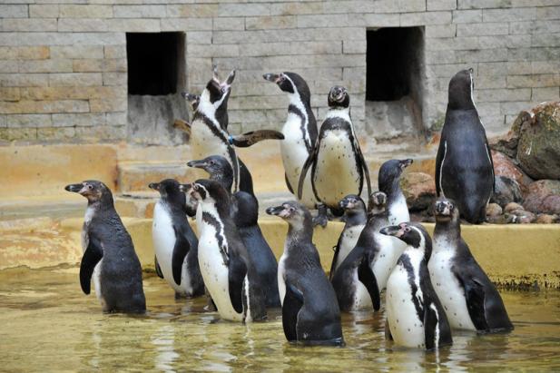 Tierisch was los im Zoo Rostock!