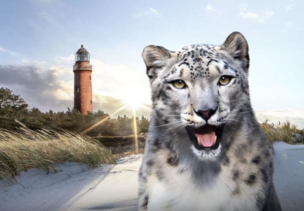 Darßer NaturfilmFestival 2025: Programm veröffentlicht