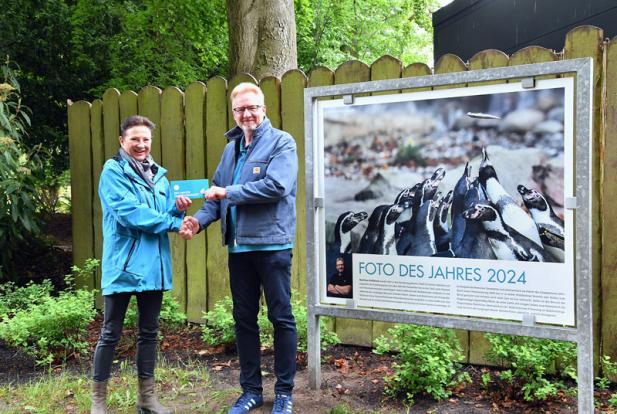 Gefiederte Zoobewohner: Foto des Jahres 2024 gekürt