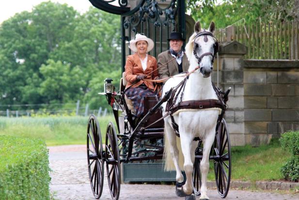 Rostock Landluft: Das Jahr des Pferdes in den Gutshäusern