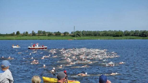 22. Warnowschwimmen – Freiwasserschwimmen vor traumhafter Hafenkulisse