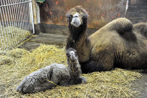 Tierisch was los im Zoo Rostock! Juni 2016