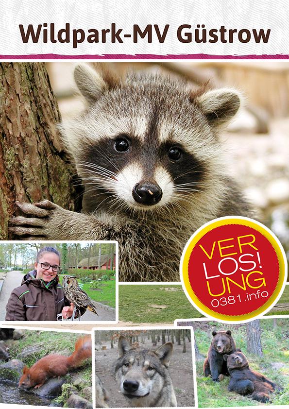 VERLOSUNG: Freikarten für den Wildpark-MV!
