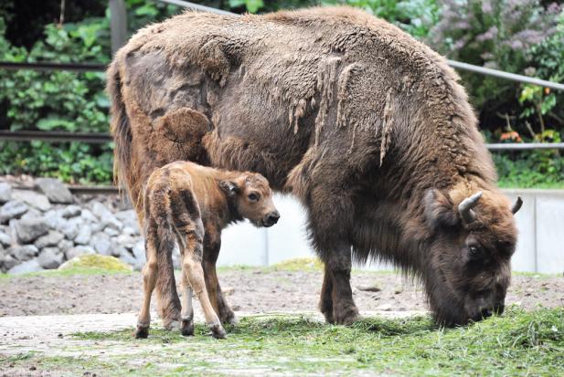 Tierisch was los im Zoo Rostock! Oktober 2015