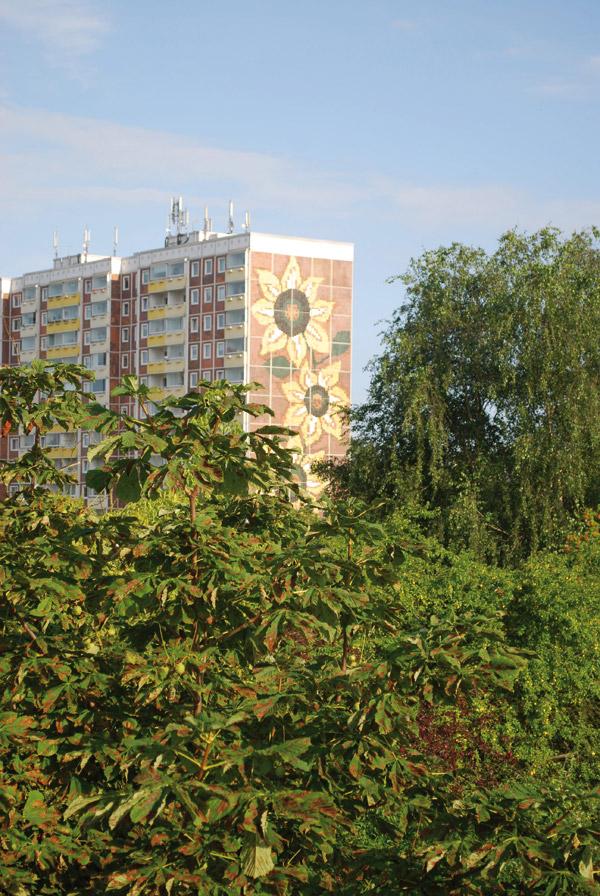 30 Jahre Pogrom von RostockLichtenhagen „Gedenken Aufklären