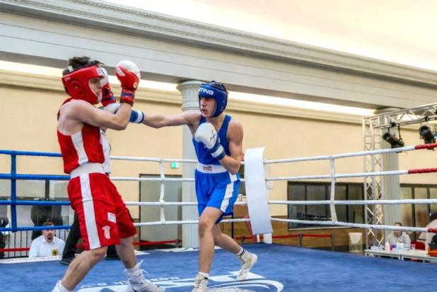 Rostock News: Rostock wird zur Boxhauptstadt: Über 500 Boxer beim 5. Internationalen Greifenpokal