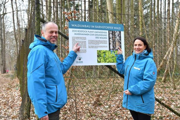 Geplanter Waldumbau im Barnstorfer Wald