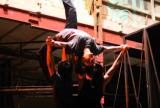 15.07.2010 20:00 Ragtime – varieté der illusionen , Halle 207 Rostock