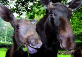 12.11.2011 09:00 Familientag, Zoo Rostock